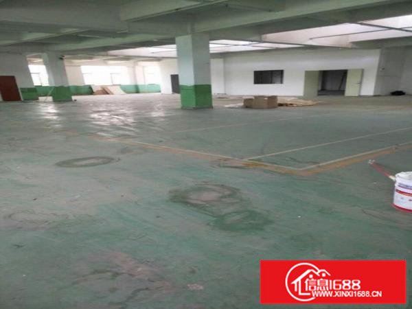 陈江镇五一村附近楼上600平出租原房东。