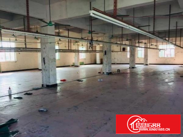 圆山大道边上的小厂房