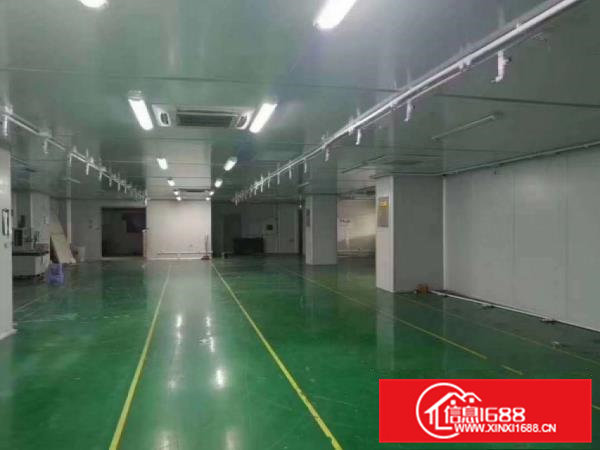 南栅楼上800平方精装修厂房水电齐全交通便利原房东