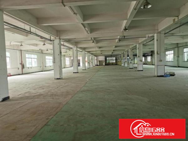 免中介费！大岭山新出楼上厂房6800平厂房出租带超大空地