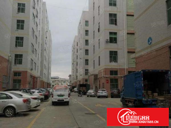 观澜新田新出精装修1楼750平厂房出租水电齐全无需转让费