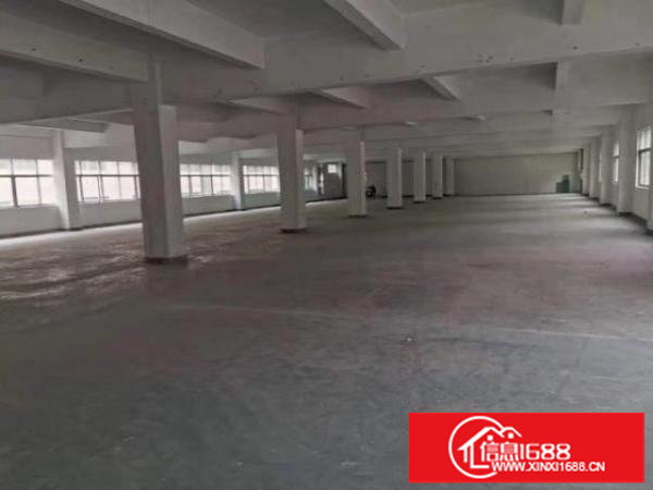 独门独院新出来龙华空地大层高6米