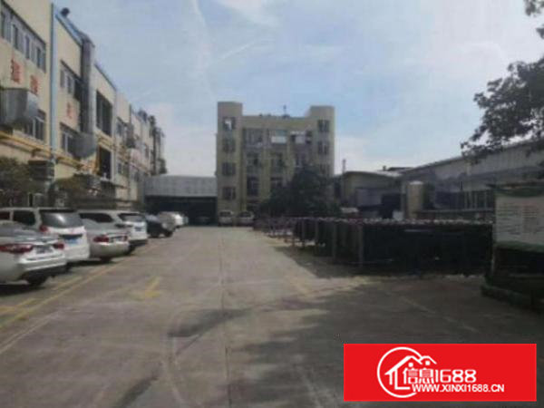 高埗一楼厂房出租5001500、3000平方出租交通方便