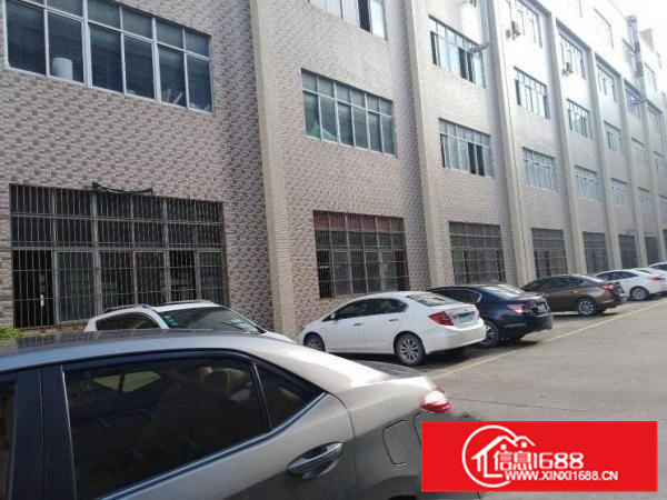 仲恺潼桥独院1500平方标准厂房出租