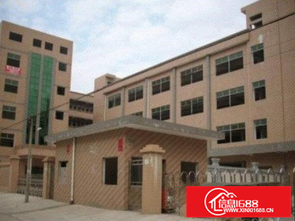 常平3500平方米标准厂房出租形象漂亮