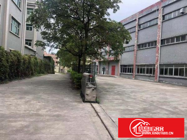 惠东白花标准独院三层6000平行业不限电按需可分租