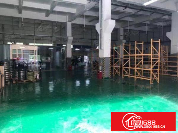 福永一楼1000平方仓库出租独门独院空地大全新地坪漆