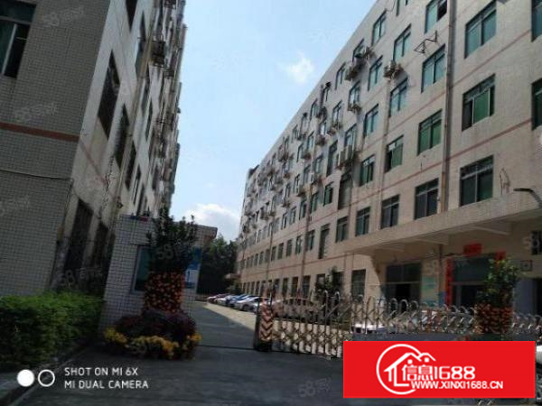 石岩塘头第三工业区原房东一楼1100平米出租可分租