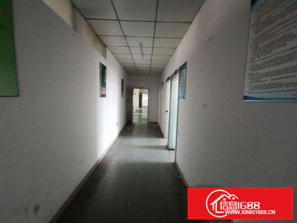寮步向西原房东标准独院厂房分租一楼600平方.
