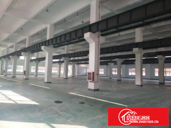 可办环评，形象好容桂标准1000方一楼大马路边配电大a