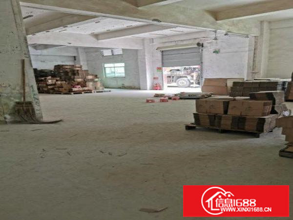 快来！小厂福音！坑梓原房东1楼腾出280平！实际面积！急租！