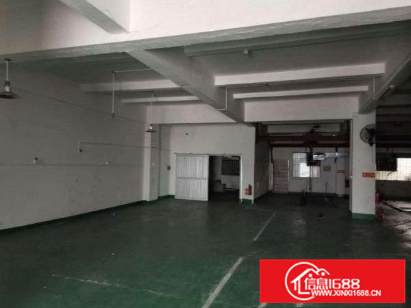 横沥张坑一楼650平厂房出租精装修地坪漆水电齐全