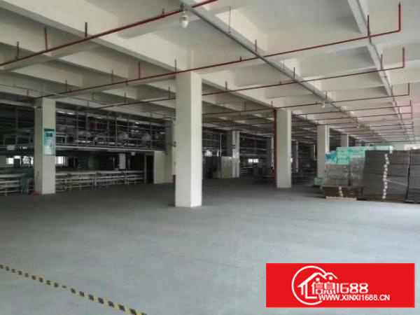 高埗工业区标准一楼1300平方出租配电按需消防水电齐全，交通