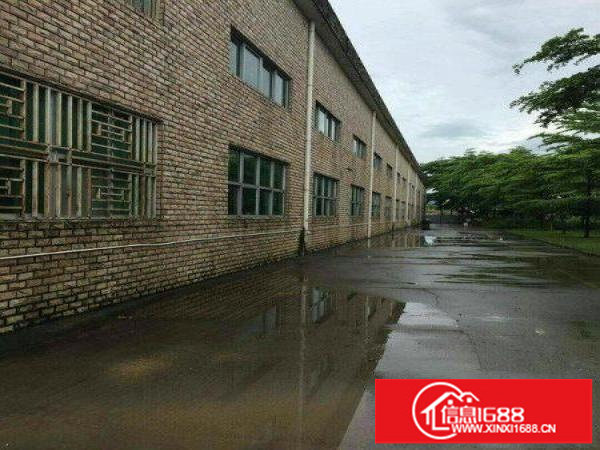 龙岗中心城宝龙2000平滴水8米钢构厂房出租