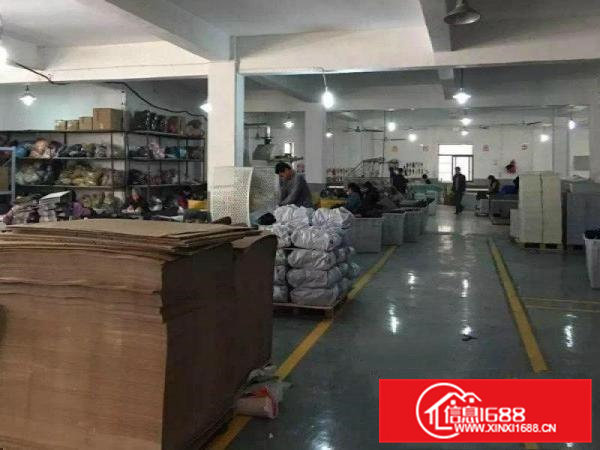 常平镇沙湖口高大上单一层钢构独院厂房6000平米