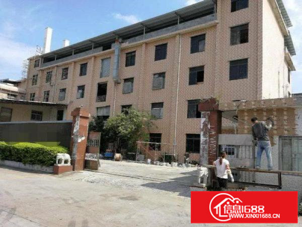 常平霞坑路现有14楼标准厂房出租