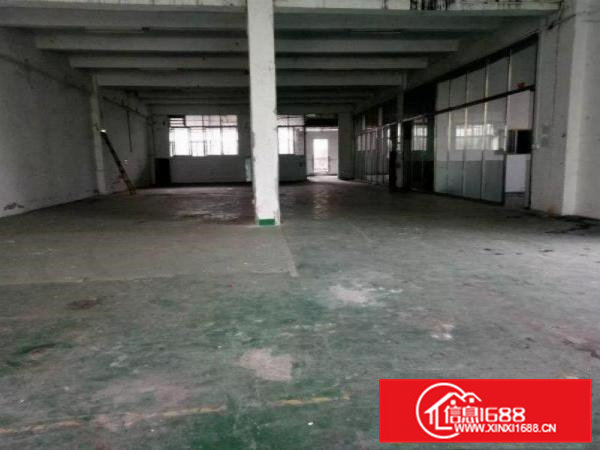 清溪铁松原房东厂房一楼850平层高6米带精装办公室
