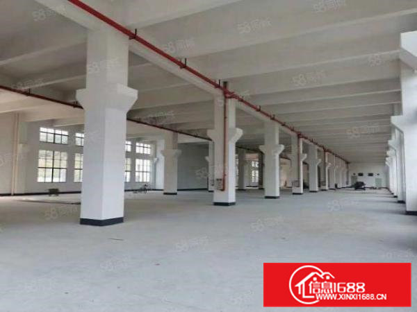 南栅本地人全新厂房正式招租，出租面积按需，形象好