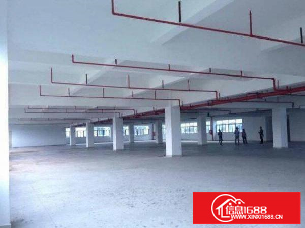 实用率高！官窑吴屋新出原房东独院800平方厂房无杂费