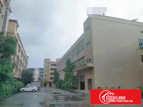 原房东带地皮漆厂房2楼2000方，惊喜价12块