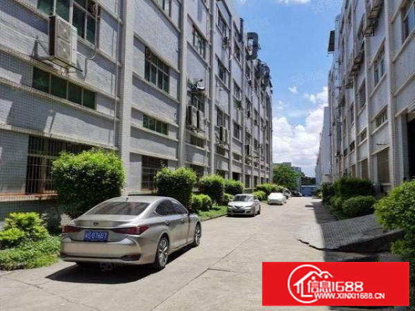 凤岗楼上1800平方带豪华装修出租，水电办公室齐全