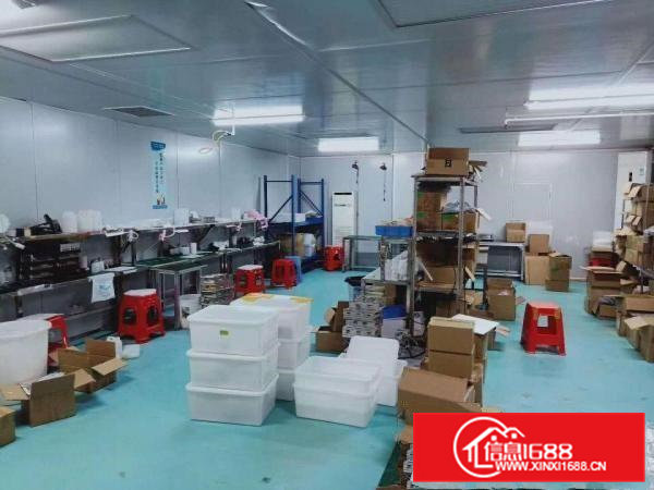 凤岗适合电子数据线针织豪华装修无尘车间出租1600平