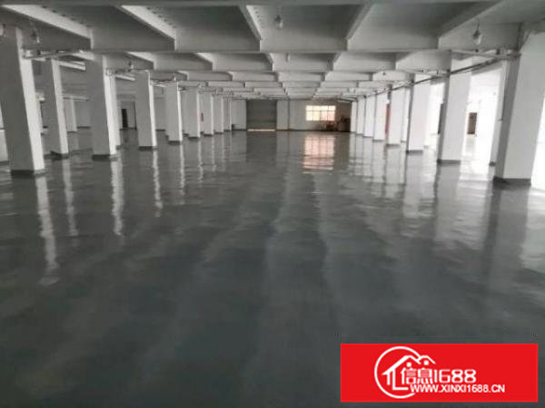 荷坳地铁站原房东2楼1800平