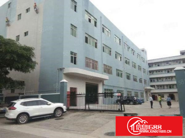 西坑工业区独门独院8800平方整租20元一平方大小可分租