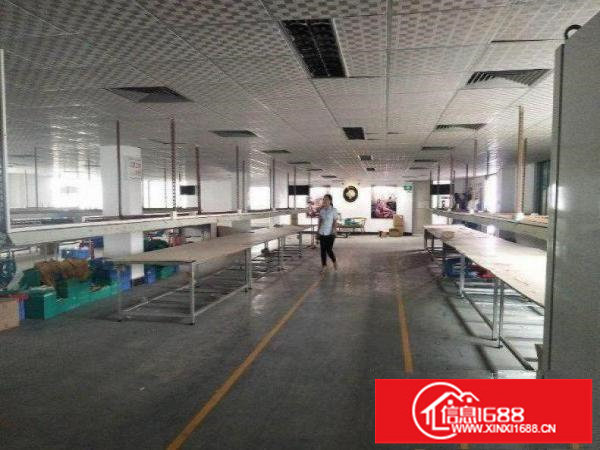 坂田大丹工业园原房东，楼上厂房650平，形象好