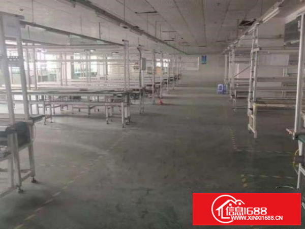 横沥镇原房东新出独门独院厂房招租已办环评