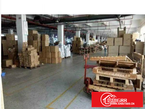 常平黄泥塘原房东标准厂房一楼2000平火爆招租中