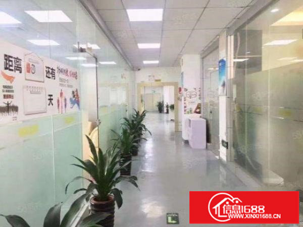 公明上村楼上厂房出租,(1500平,18元),村委直租