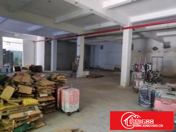 平湖大街平湖中心小学附近厂房，离平湖地铁口10