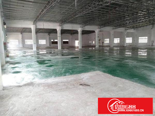 园洲上南全新钢构5080院子2000，高7米