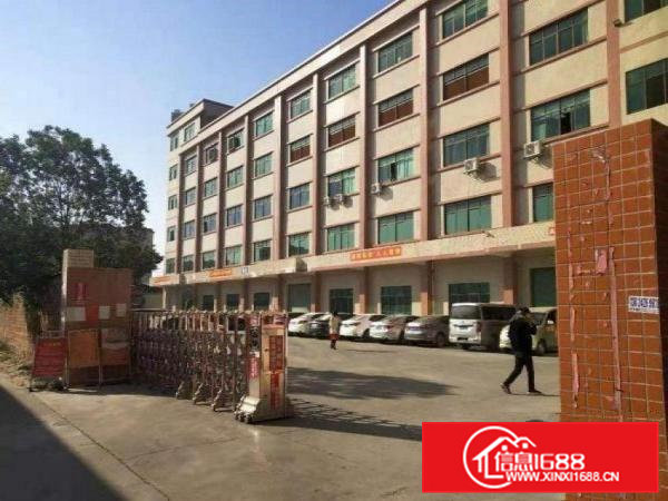 村头厂房出租1800方，可包办环评配套齐全