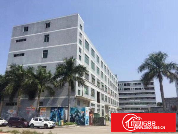 龙岗独院红本房产证厂房招租