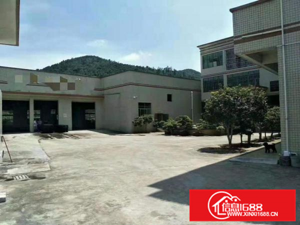 出租惠阳新墟独门独院钢构厂房出租