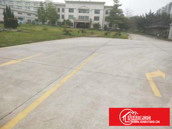 东莞石排镇原房东出租3楼2000平方带装修办公室没可分租一半