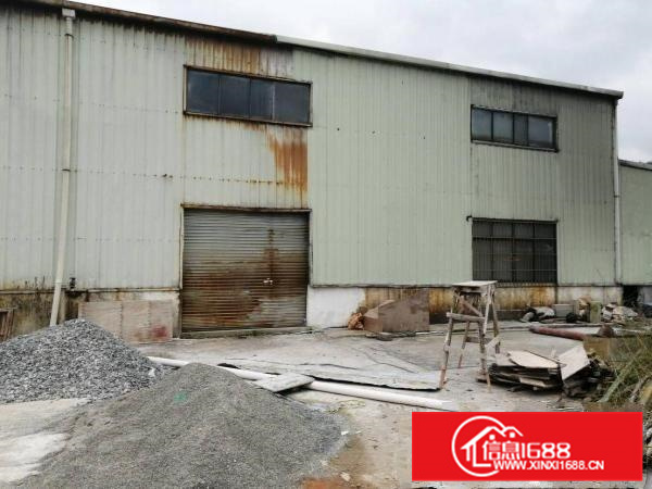 惠东县白花镇原房东铁皮房1200平方出租