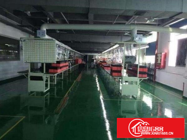 坂田原房东1600平整层带精装修可分租