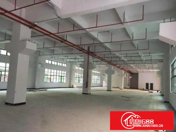 南联地铁口一楼标准厂房出租1000有装修