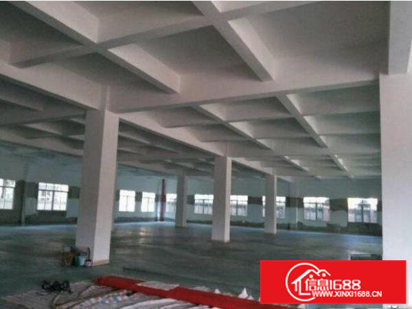 虎岗高速附近标准厂房出租楼上面积800平方