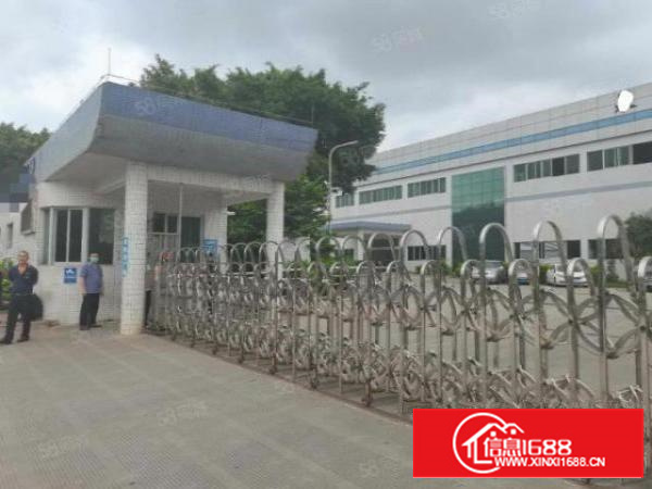 茶山镇刘黄刚出单一层5180平滴水8米偏僻独院厂房