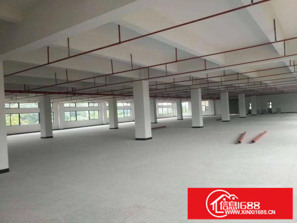 企石镇大小厂房招租，价格优惠