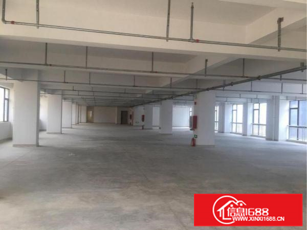 惠阳区三和全新红本标准厂房出租26000平方可分租