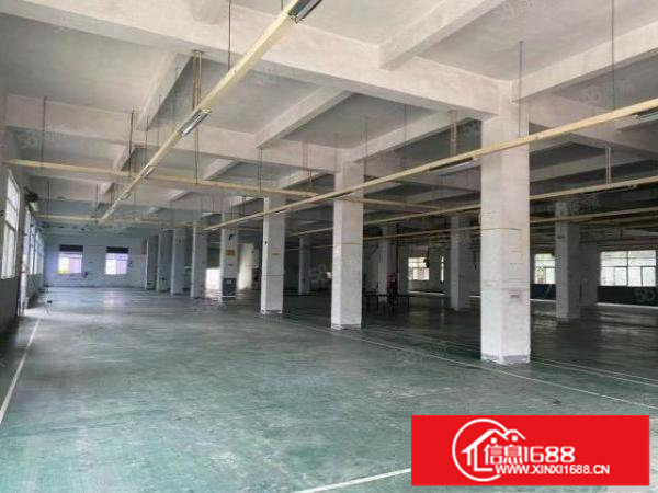 房东直租南岭一二楼各3100平厂房，高5.4米160平35元