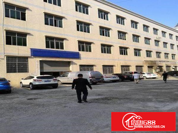 龙岗楼上2000平米整层优惠出租可分租