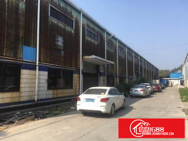 ~塘厦大公司物流仓库，600至5000平米，滴水10米钢构~