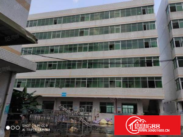 龙岗北通道边原房东红本独院厂房15500平，可分租