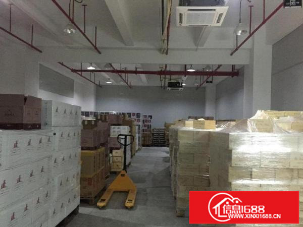 丹竹头300平电商，仓库，组专，过消防/带卸货台